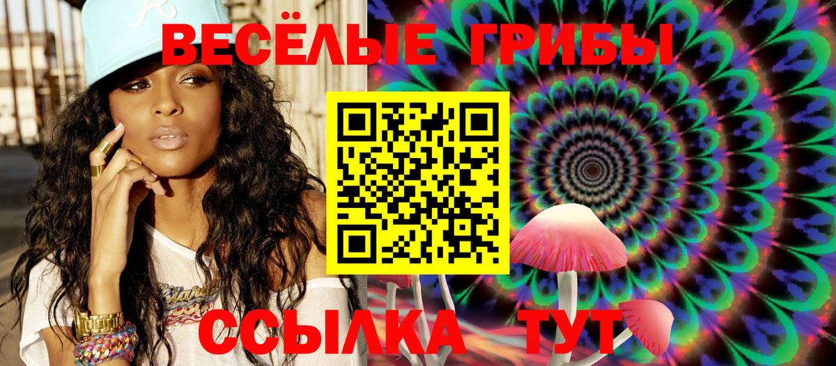 Биробиджан  Галлюциногенные грибы Cubensis  Вход с VPN 